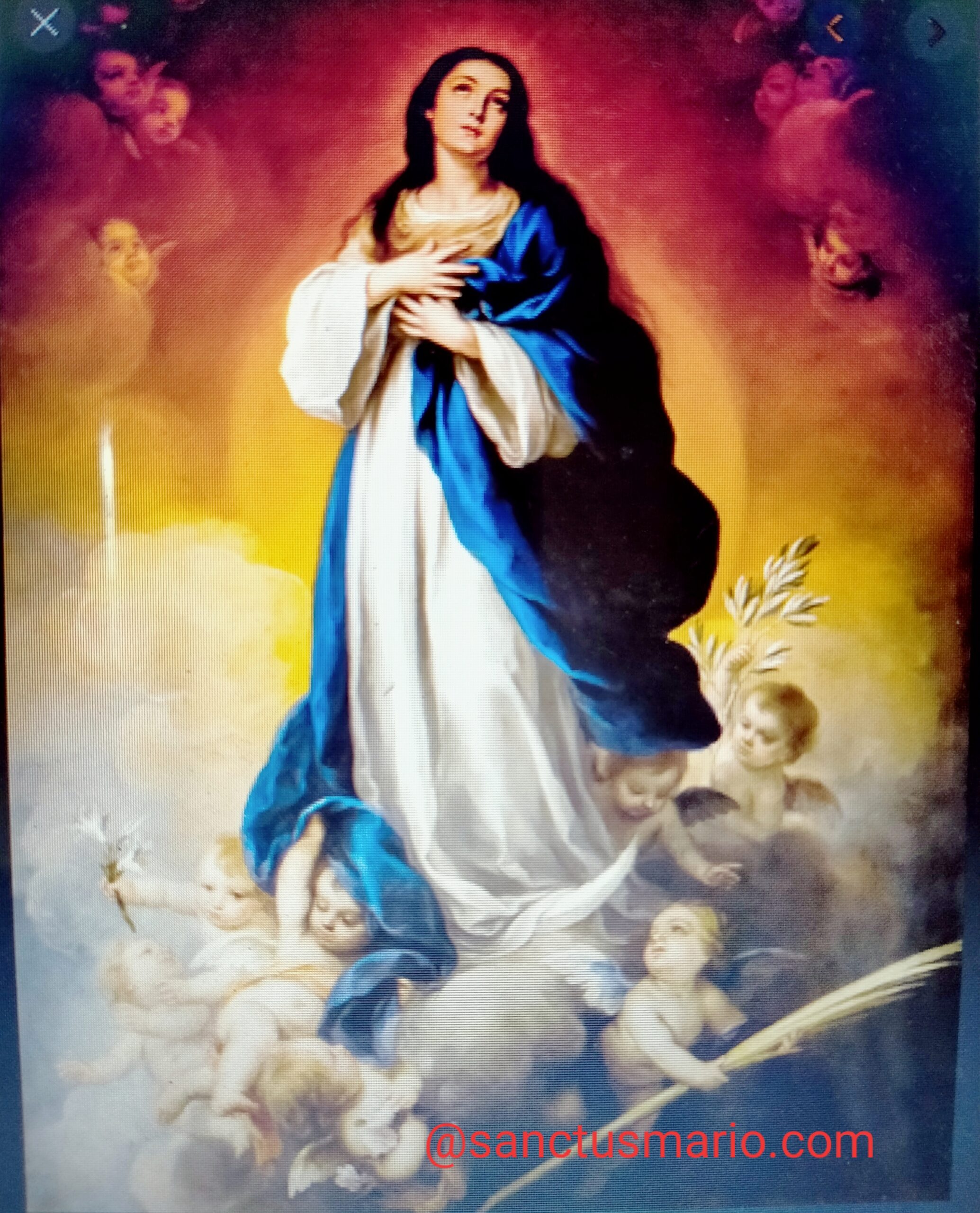 Mary Is Immaculate Solemnity Of The Immaculate Conception Fr Sanctus Mario