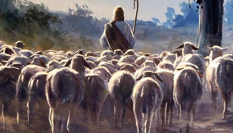 allow Jesus to be your shepherd