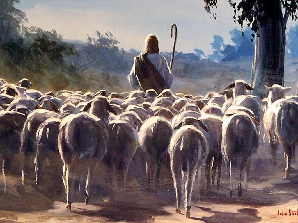 allow Jesus to be your shepherd