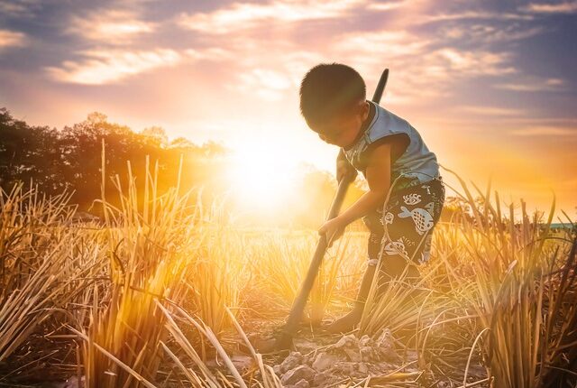 The Nature of Our Mission and the Ways to Succeed.