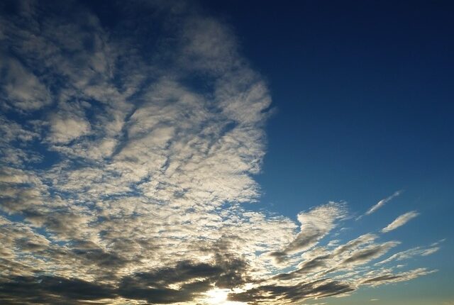 The Kingdom of Heaven Suffers Violence.Thursday 2nd Week of Advent