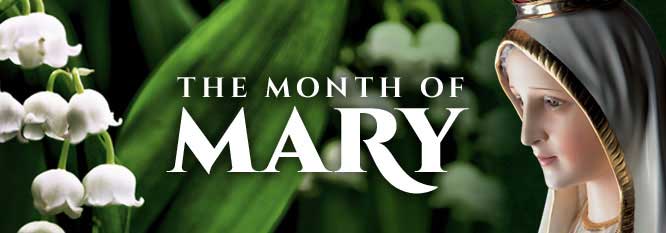 Prayers and Intentions for the 31 Days May Devotion