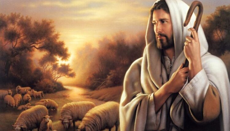 The Sheep Listens to My Voice and I Know Them.Good Shepherd Sunday