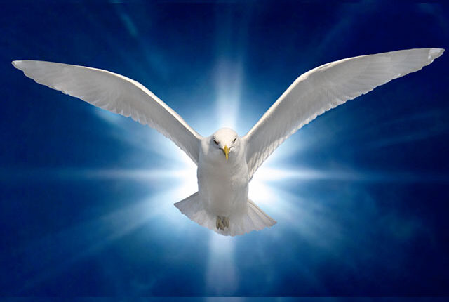 Mass Intentions for the 31 Days Novena to the Holy Spirit