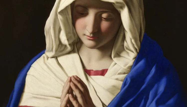The Joy of Mary’s Birth in Salvation History. Nativity of Blessed Virgin Mary's Series